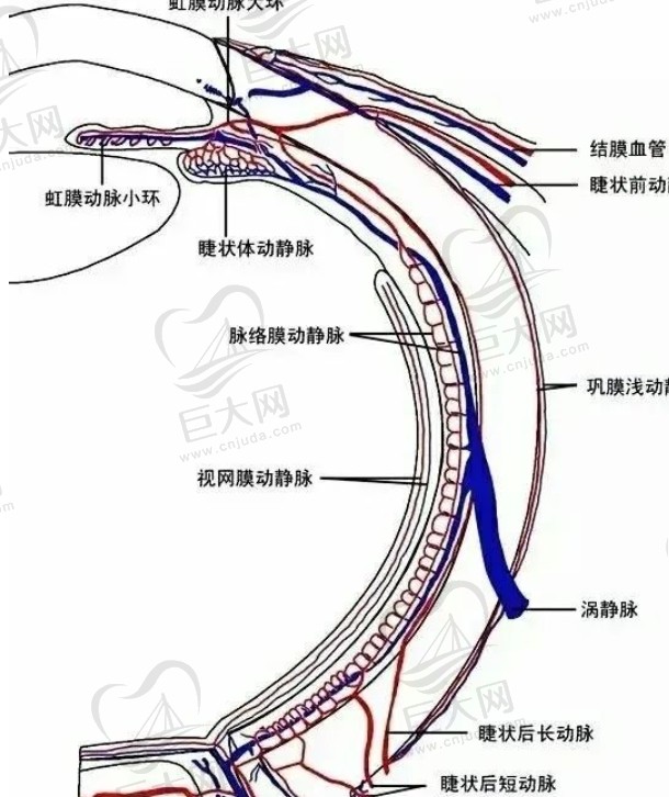 重庆拉皮手术哪家好？排名前十机构总结：拿下各院实力优势！